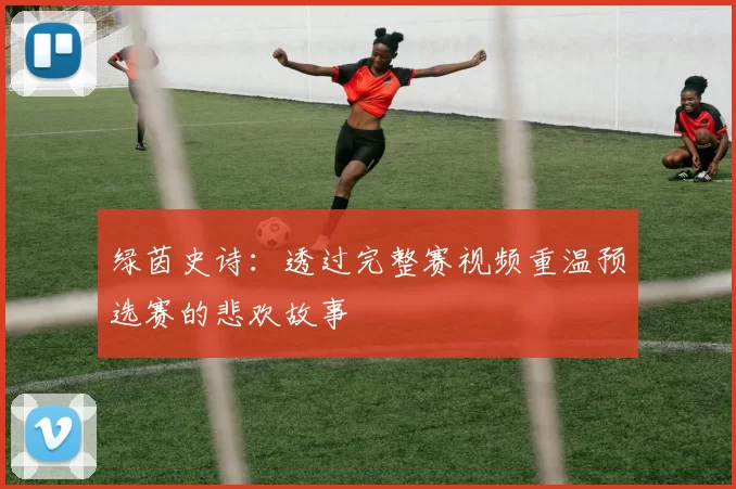 绿茵史诗:透过完整赛视频重温预选赛的悲欢故事