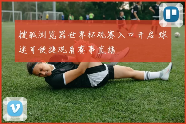 搜狐浏览器世界杯观赛入口开启 球迷可便捷观看赛事直播