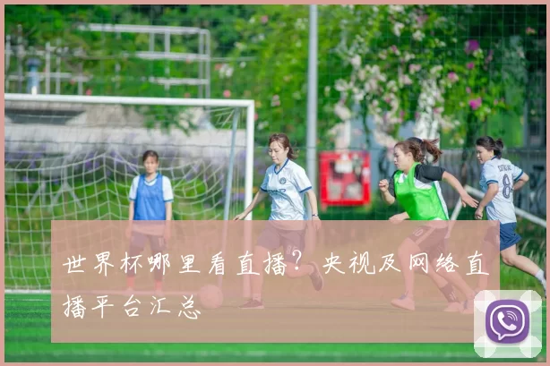 世界杯哪里看直播?央视及网络直播平台汇总