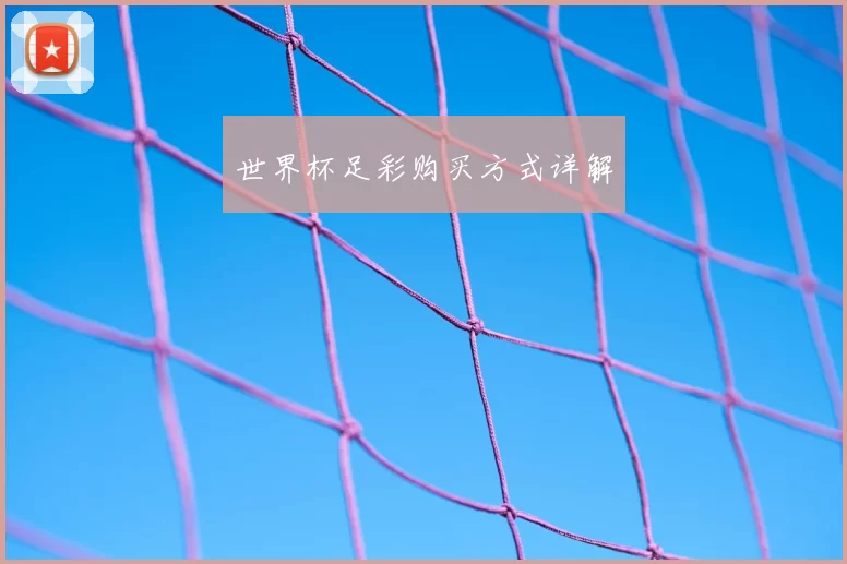 世界杯足彩购买方式详解