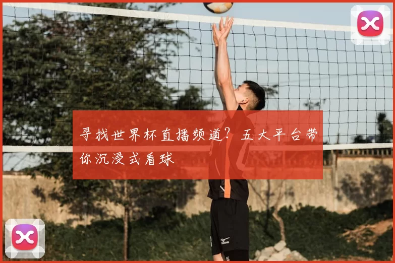 寻找世界杯直播频道？五大平台带你沉浸式看球