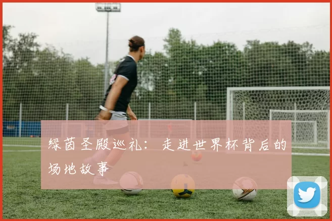 绿茵圣殿巡礼:走进世界杯背后的场地故事