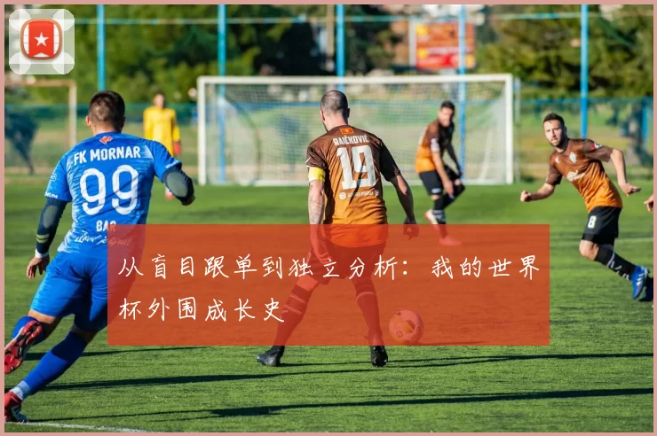 从盲目跟单到独立分析:我的世界杯外围成长史