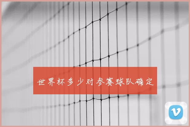 世界杯多少对参赛球队确定