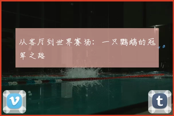 从客厅到世界赛场：一只鹦鹉的冠军之路