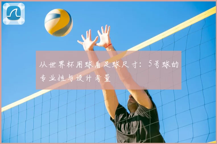 从世界杯用球看足球尺寸:5号球的专业性与设计考量