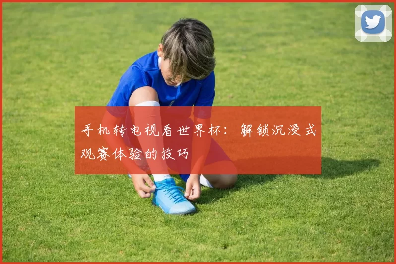手机转电视看世界杯：解锁沉浸式观赛体验的技巧