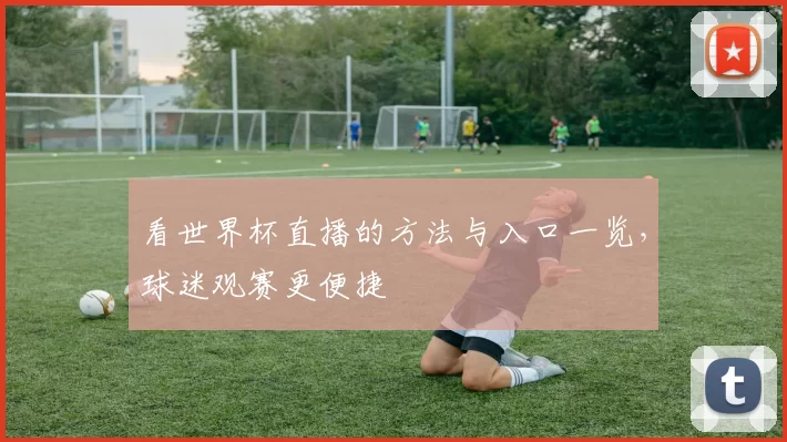 看世界杯直播的方法与入口一览,球迷观赛更便捷