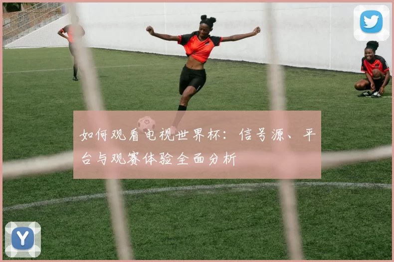 如何观看电视世界杯:信号源、平台与观赛体验全面分析