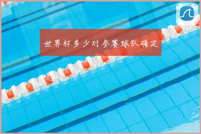 世界杯多少对参赛球队确定