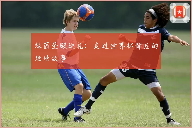 绿茵圣殿巡礼:走进世界杯背后的场地故事