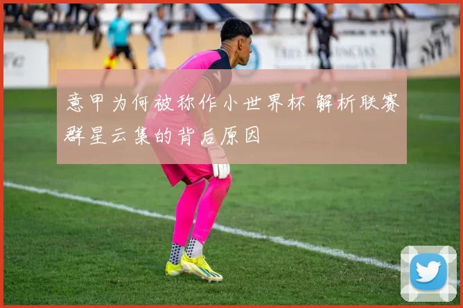 意甲为何被称作小世界杯 解析联赛群星云集的背后原因