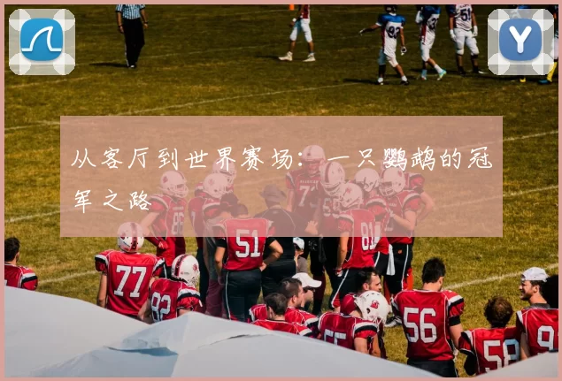 从客厅到世界赛场：一只鹦鹉的冠军之路