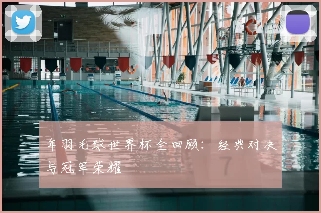 年羽毛球世界杯全回顾：经典对决与冠军荣耀
