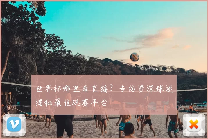 世界杯哪里看直播？专访资深球迷揭秘最佳观赛平台