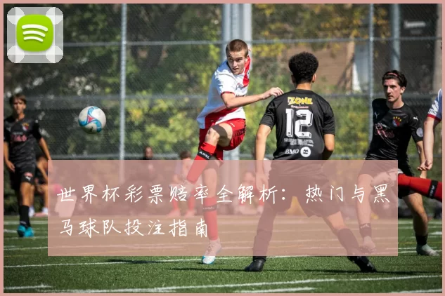 世界杯彩票赔率全解析:热门与黑马球队投注指南