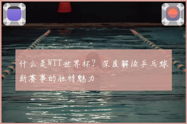 什么是WTT世界杯?深度解读乒乓球新赛事的独特魅力