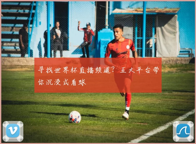 寻找世界杯直播频道？五大平台带你沉浸式看球